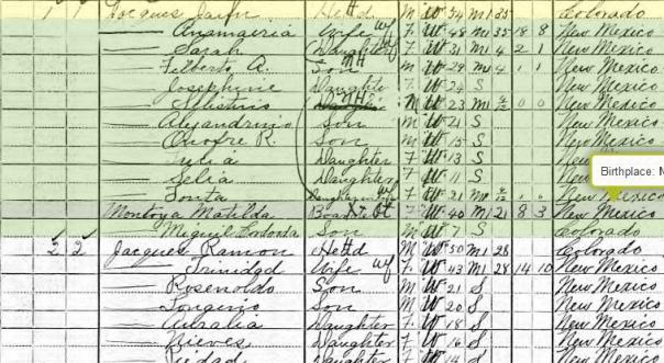 1910 Census for Juan N